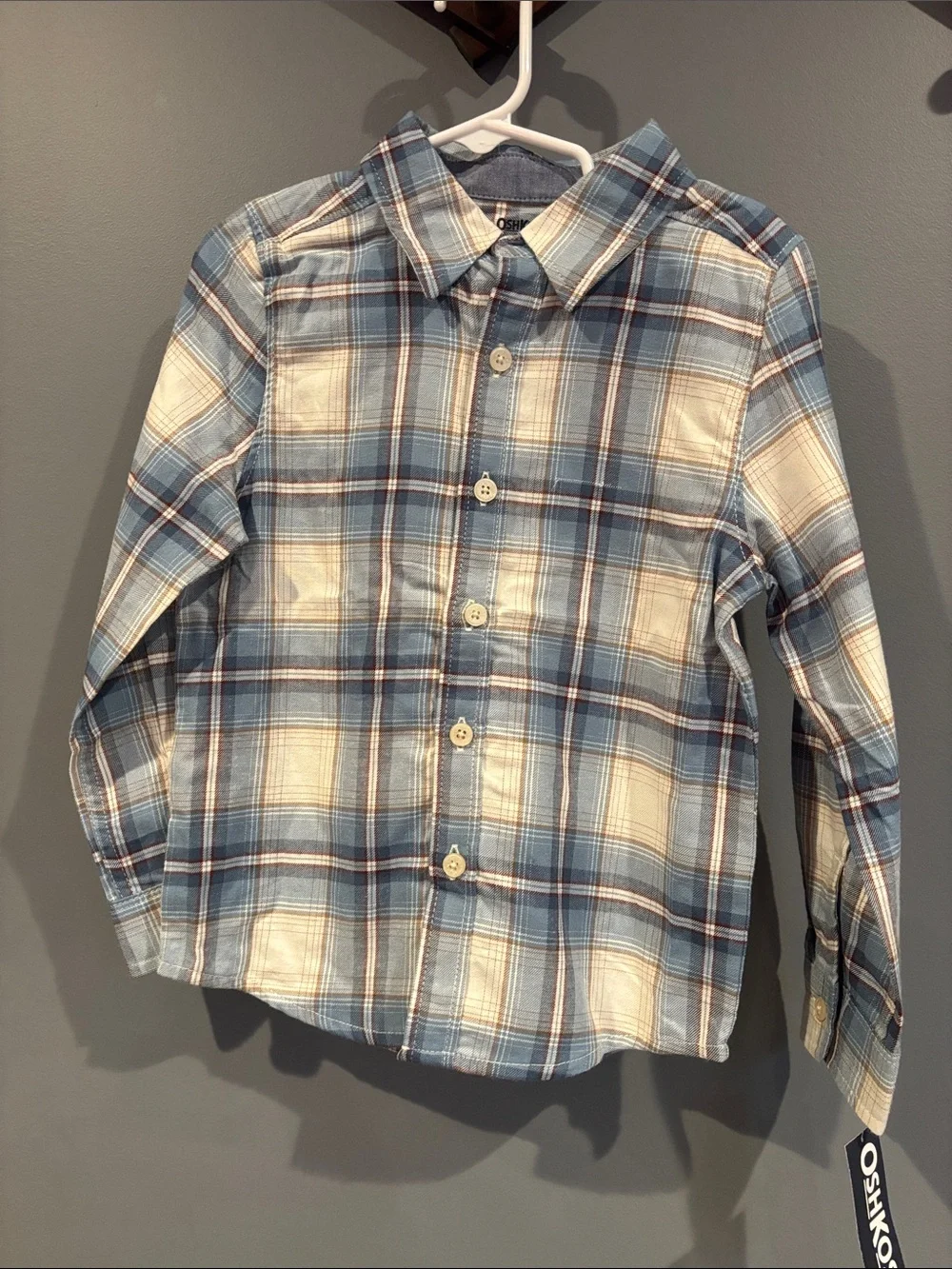 OshKosh B'gosh Blue & White Plaid Button-Down Shirt